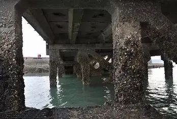 沿海和高腐蚀环境建筑 的图像结果